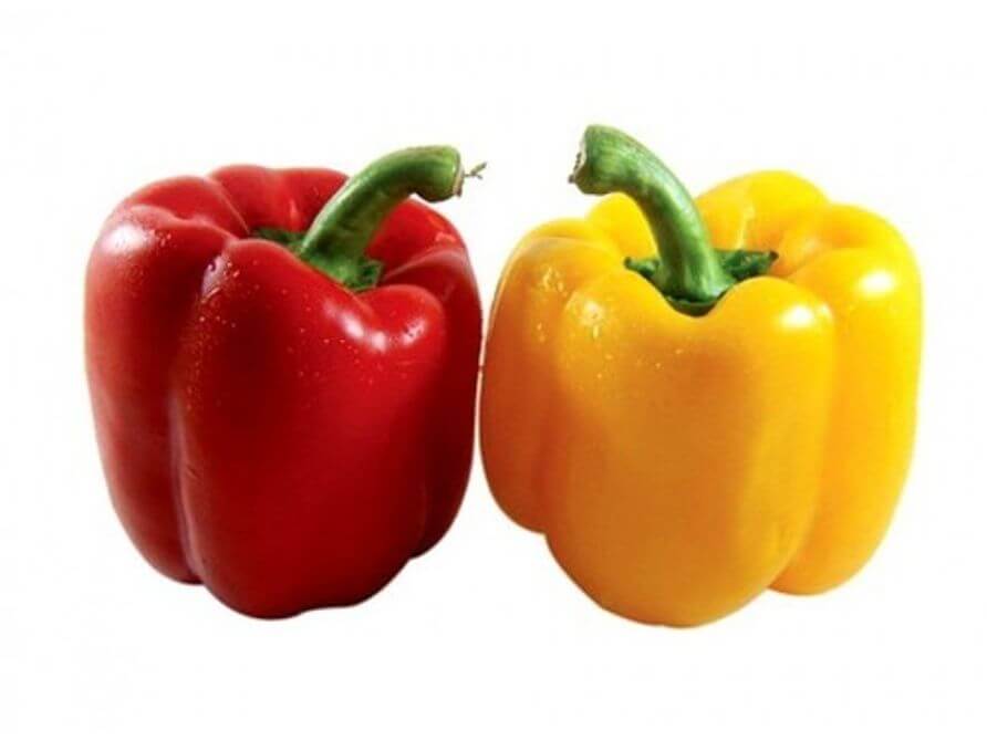 red & yellow bell pepper dealers & suppliers in pune